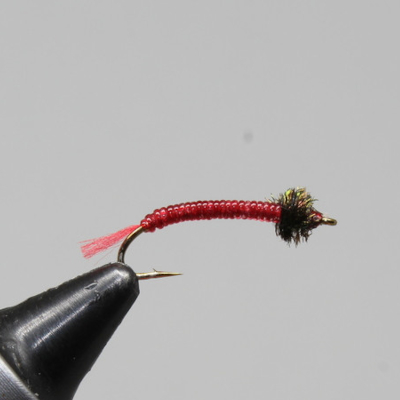 Jennings' Bloodworm – Red – Little Fort Fly and Tackle